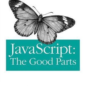 DNR: Javascript The Good Parts