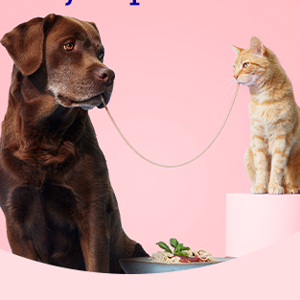 bol-4-oktober-2025-dierendag